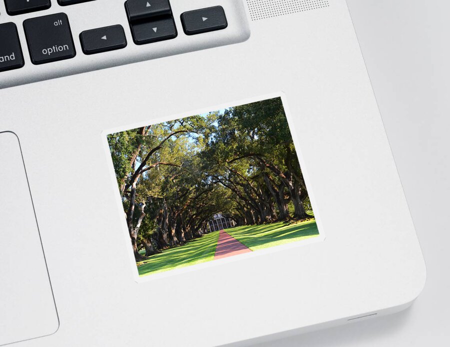 Oak Sticker featuring the photograph Oak Alley Plantation by Maggy Marsh