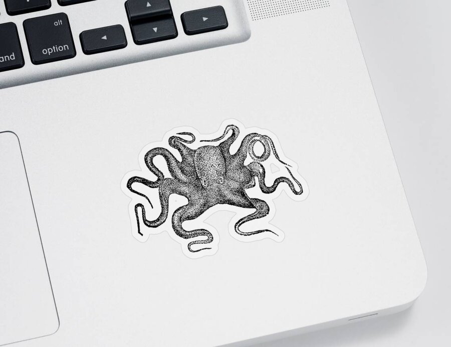 Octopus Sticker featuring the digital art Octopus T-shirt by Edward Fielding