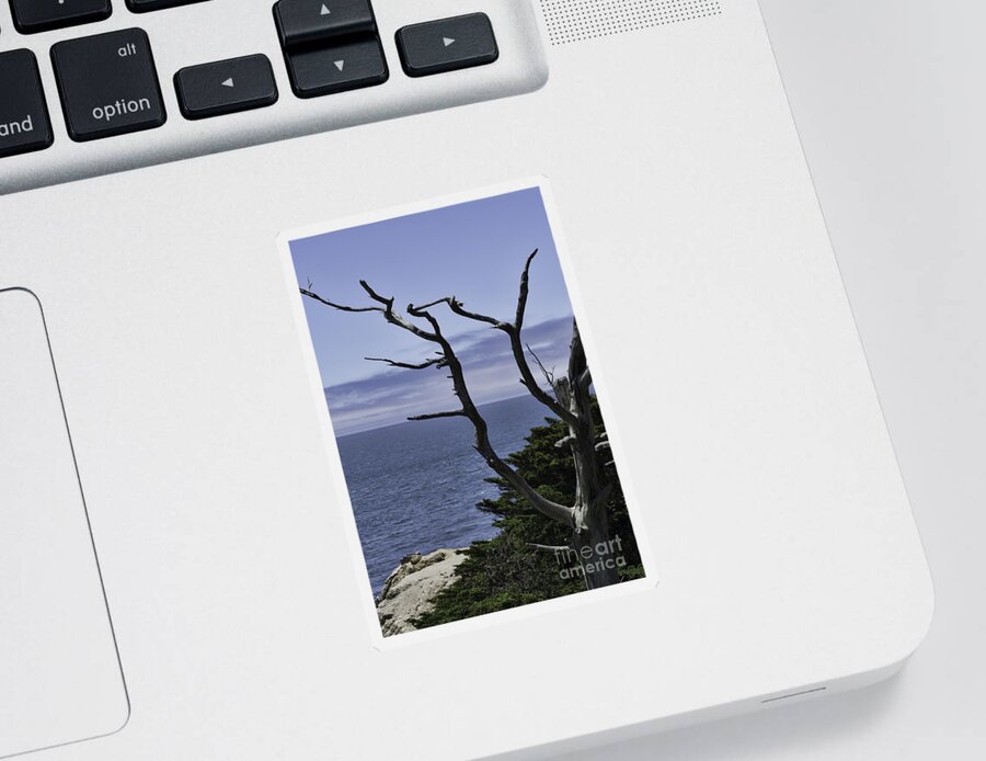 Cliff Sticker featuring the photograph Off Shore by Judy Wolinsky