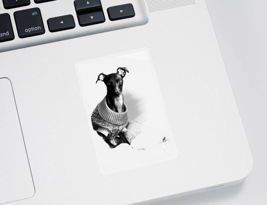 Editorial Sticker featuring the photograph Oh Those Eyes Black and White 4 by Angela Rath