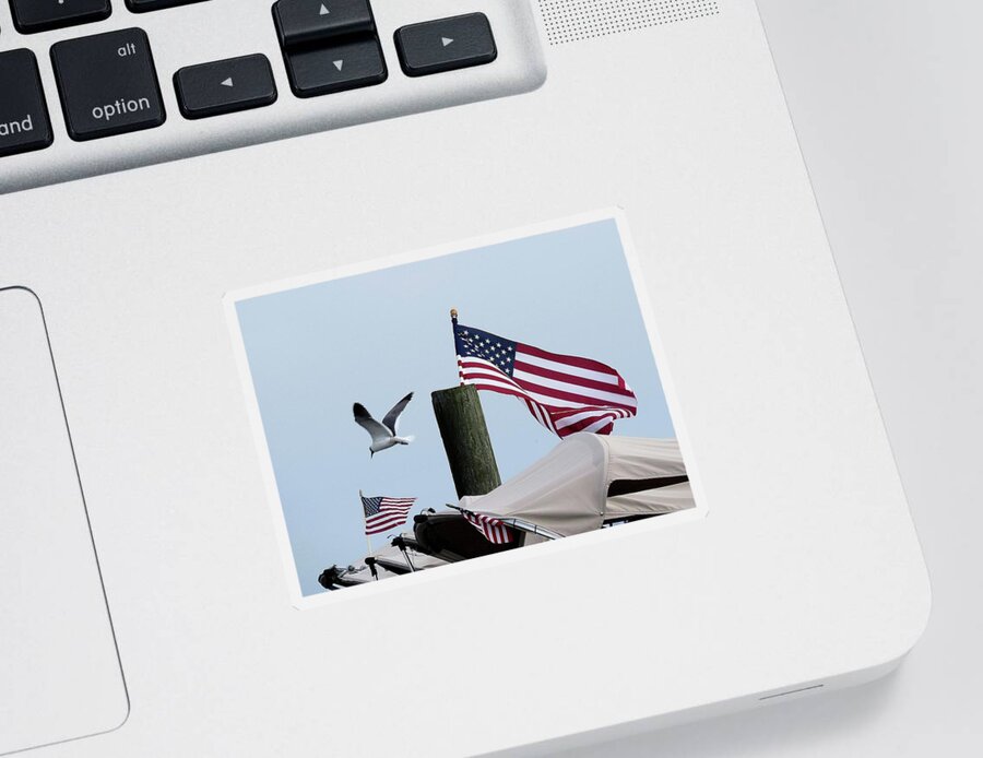 American Flag Sticker featuring the photograph Old Glory and Gull by Linda Stern