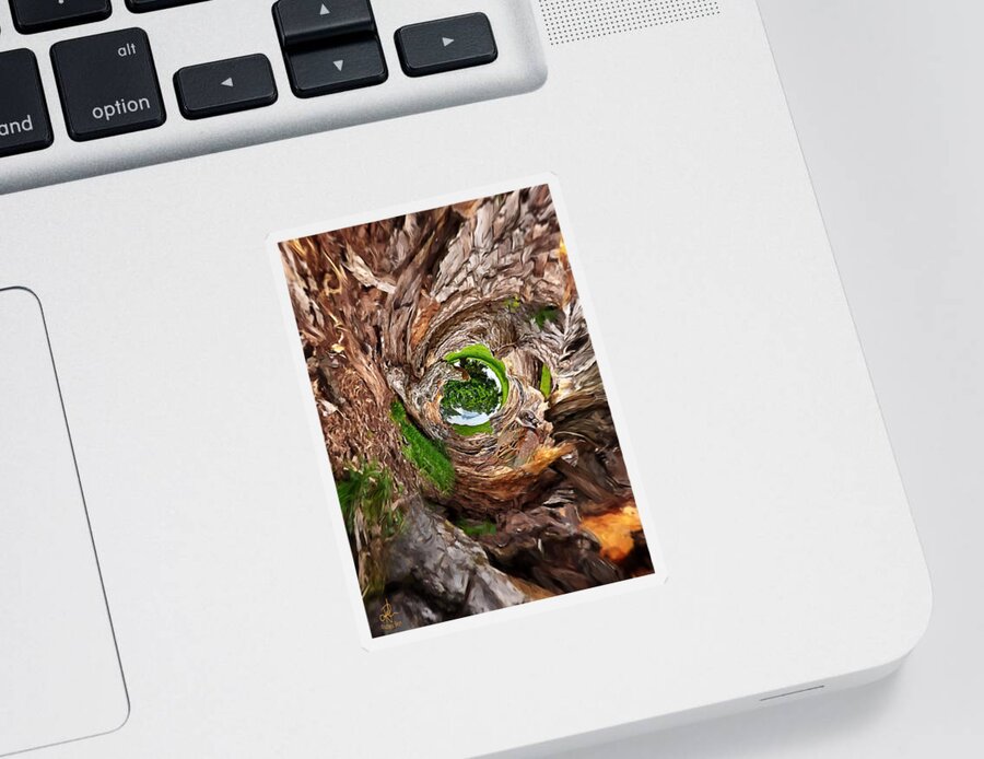 Tree Sticker featuring the photograph Once A Tree by Pennie McCracken