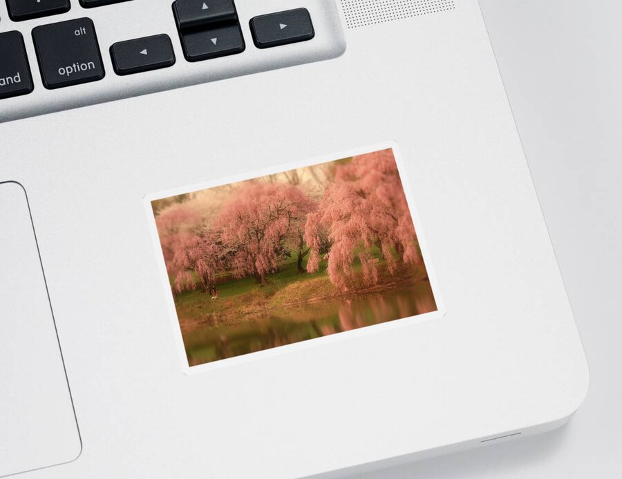 Cherry Blossom Trees Sticker featuring the photograph One Spring Day - Holmdel Park by Angie Tirado