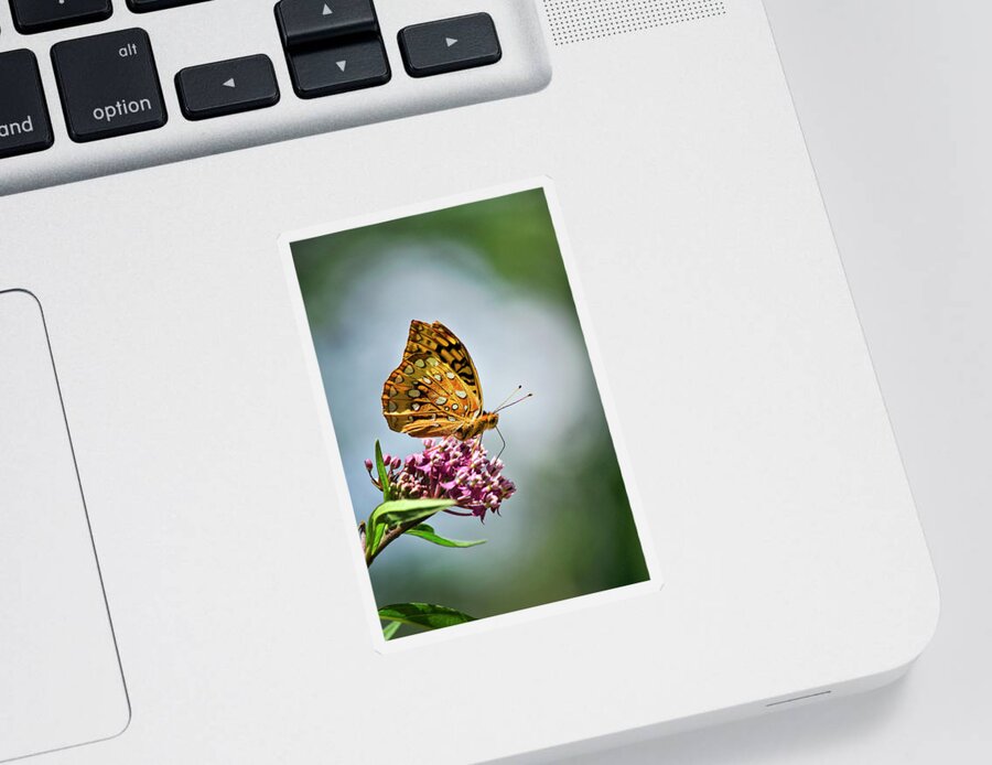 Butterfly Sticker featuring the photograph Orange Butterfly by Christina Rollo