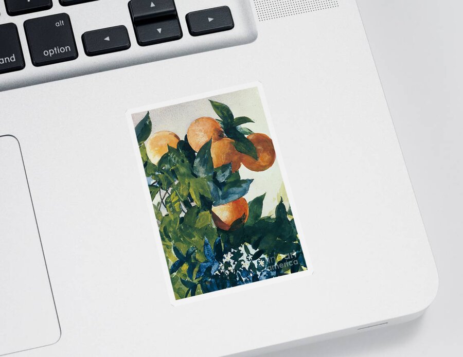 Winslow Homer Sticker featuring the painting Oranges on a Branch by Winslow Homer