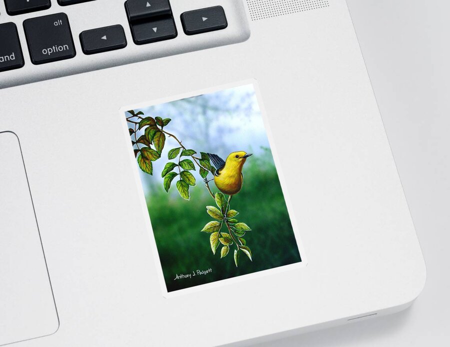 Oriole Sticker featuring the painting Orchard Oriole by Anthony J Padgett