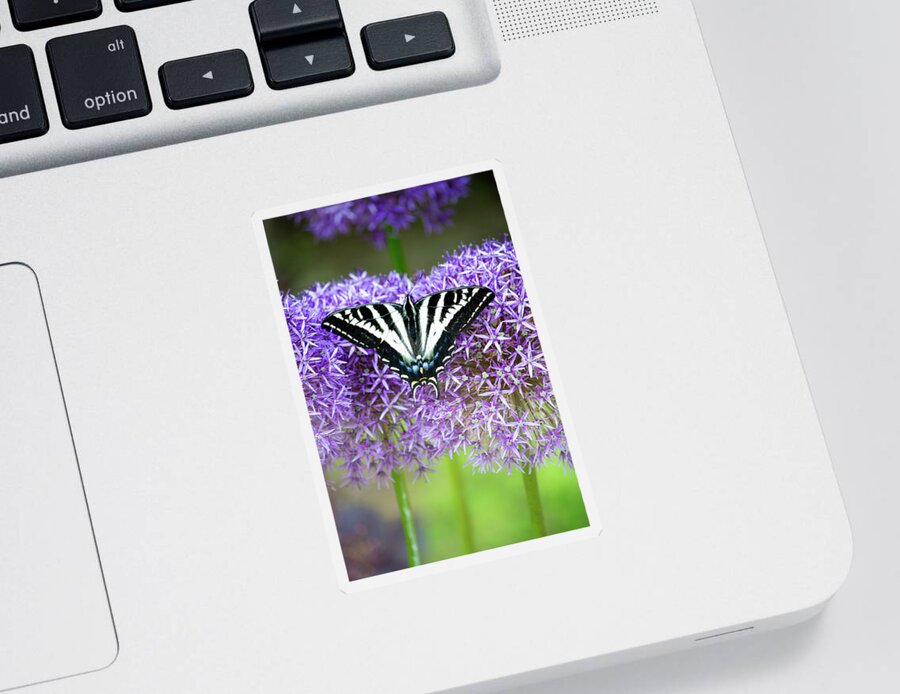 Nature Sticker featuring the photograph Oregon Swallowtail by Bonnie Bruno