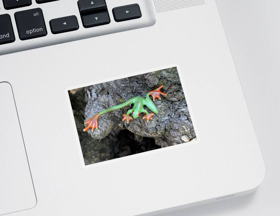 Frog Sticker featuring the painting Ornamental Green Orange Frog by Corey Ford