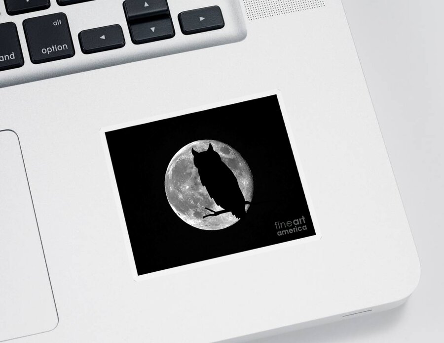 Owl Silhouette Sticker featuring the photograph Owl Moon by Al Powell Photography USA
