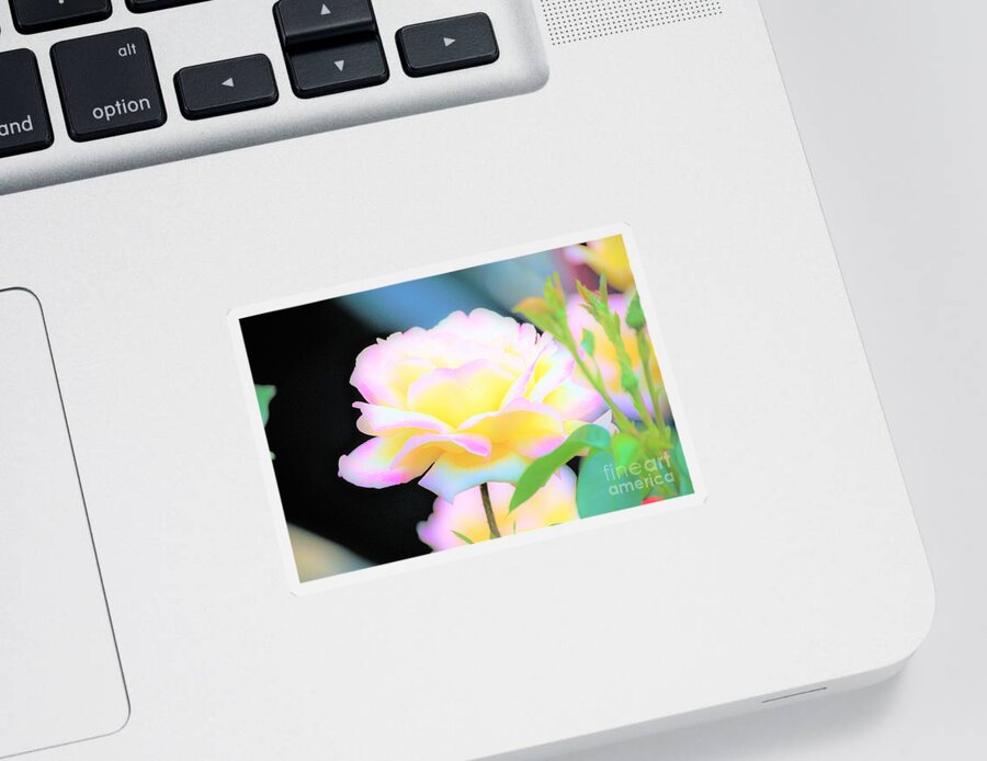 Rose Sticker featuring the photograph Paint me Beautiful by Merle Grenz