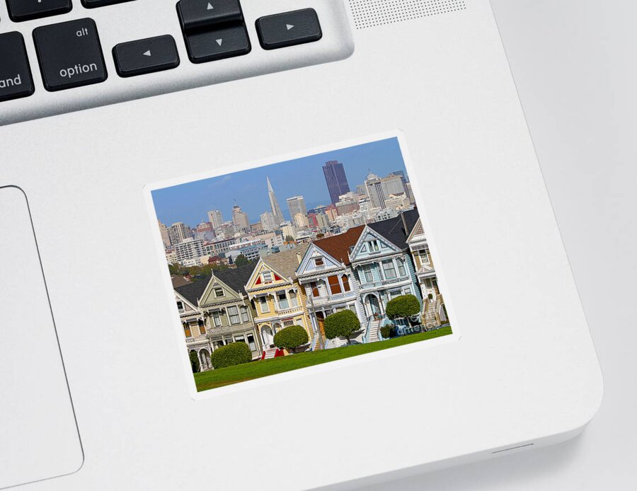 Painted Ladies Sticker featuring the photograph Painted Ladies by Jack Schultz