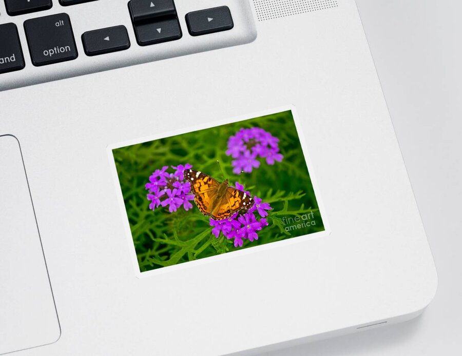 Michael Tidwell Photography Sticker featuring the photograph Painted Lady on Purple Verbena by Michael Tidwell