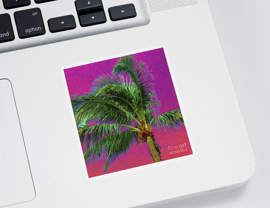 Palm Tree Sticker featuring the photograph Palm 1012 by Corinne Carroll