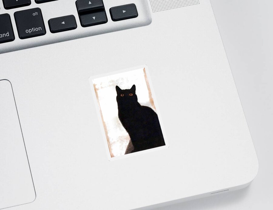 Cats Sticker featuring the photograph Panther the British Shorthair Cat by Judy Kennedy