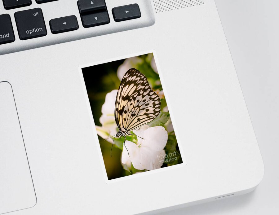 Butterfly Sticker featuring the photograph Paper Kite on White by Ana V Ramirez