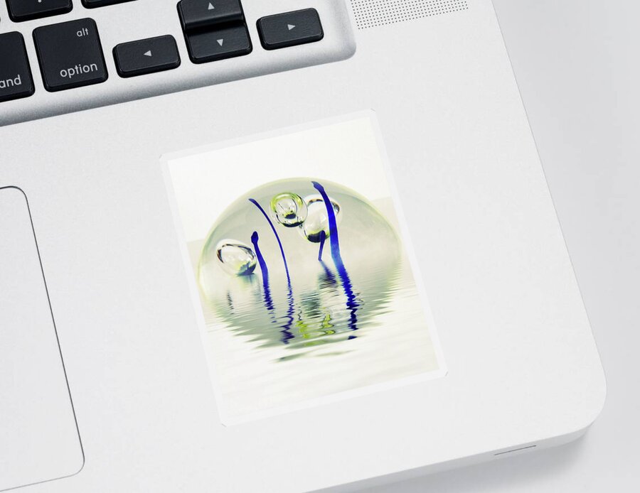 Paperweight Sticker featuring the photograph Paperweight No. 12-1 by Sandy Taylor