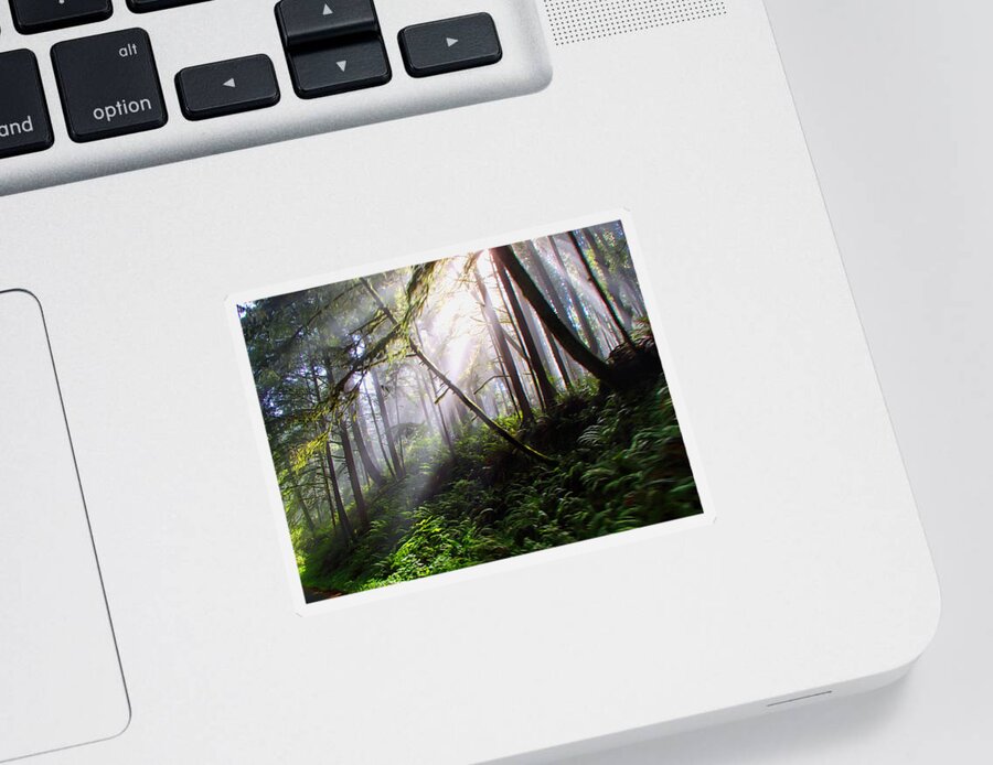 Peaceful Sticker featuring the photograph Parting of the Mist by Alana Thrower