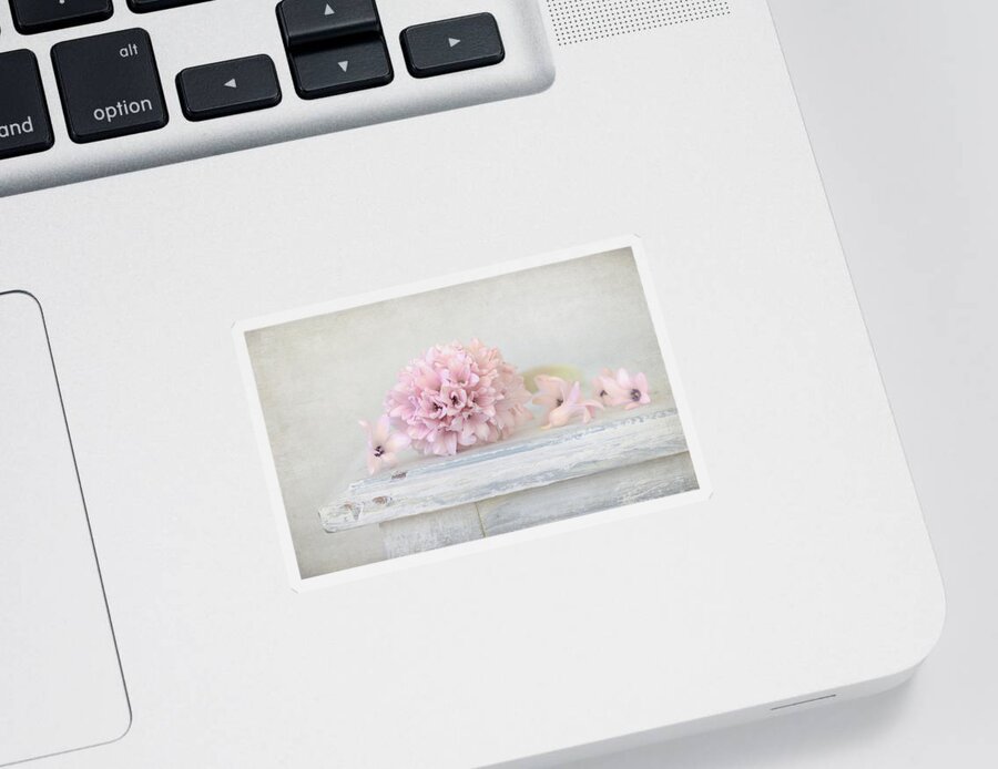 Hyacinth Sticker featuring the photograph Pastel Pink Hyacinth by Kim Hojnacki