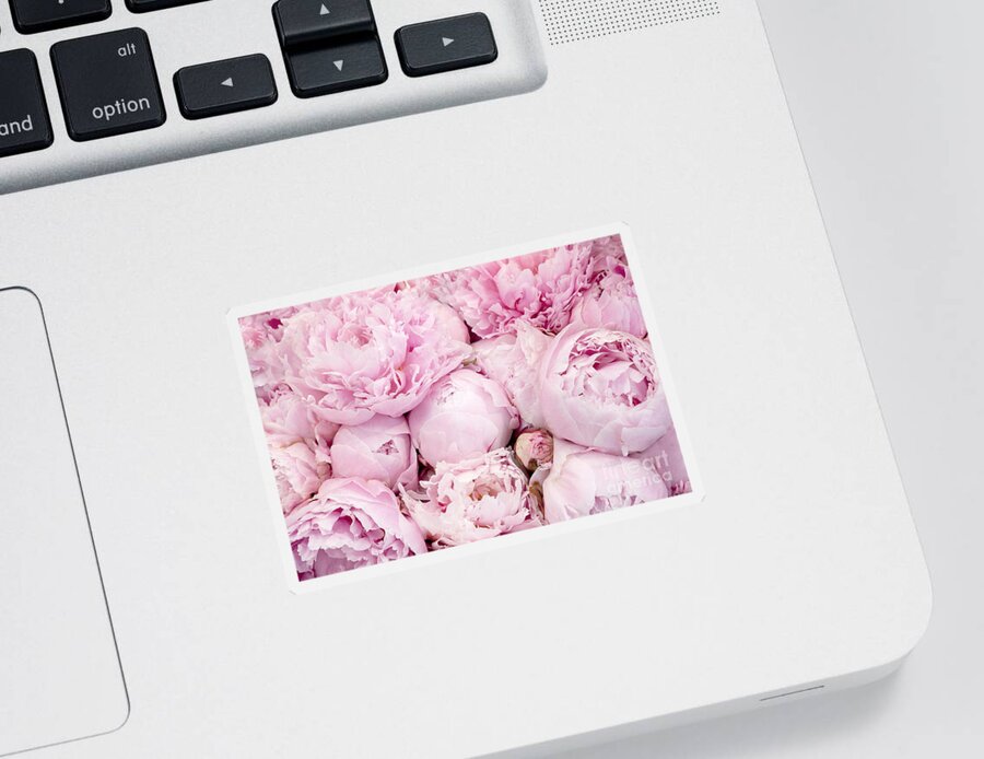 Peonies Sticker featuring the photograph Pastel Pink Peony Flowers - Pink Peony Decor - Peonies - Shabby Chic Pink Peony Flowers by Kathy Fornal