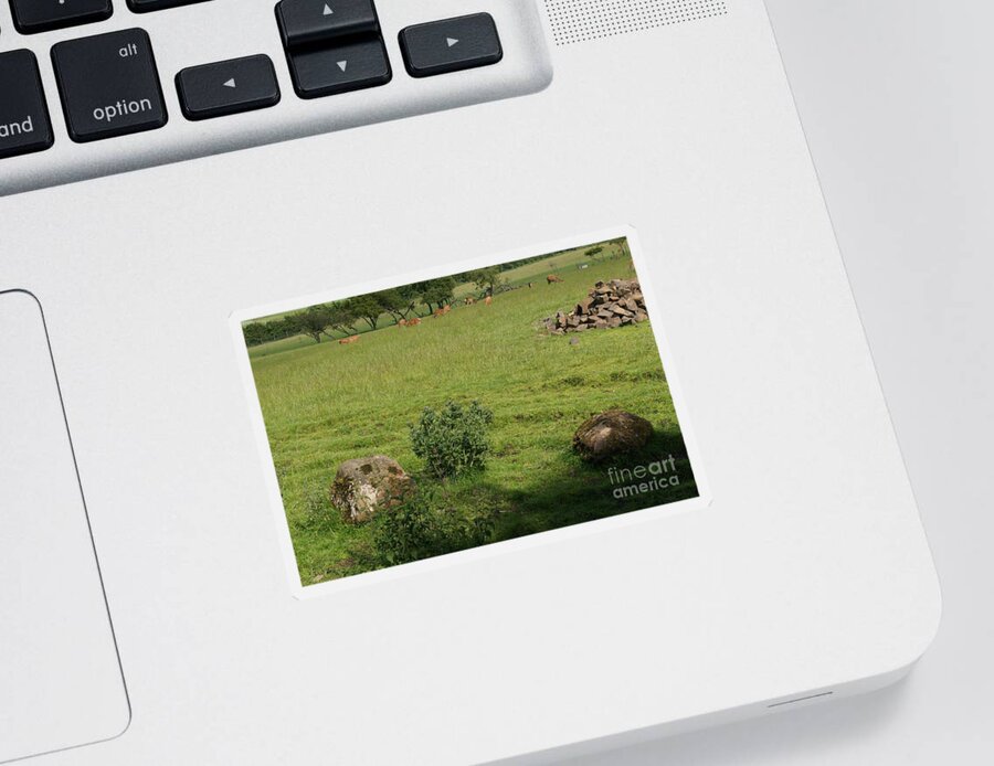 Beecraigs Sticker featuring the photograph Pasture. by Elena Perelman