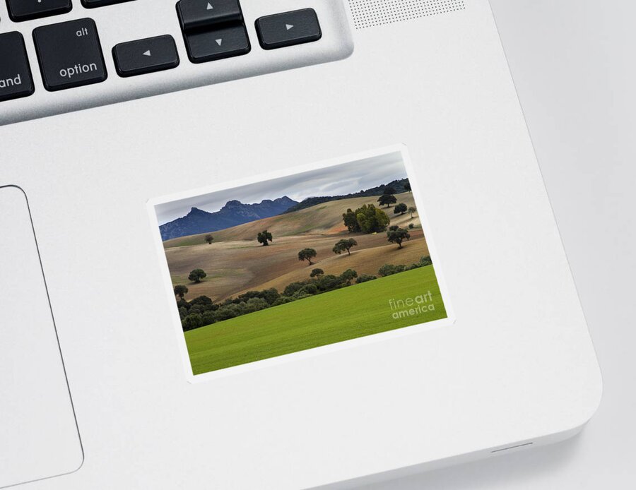 Landscape Sticker featuring the photograph Pasture Land in Analusia by Heiko Koehrer-Wagner