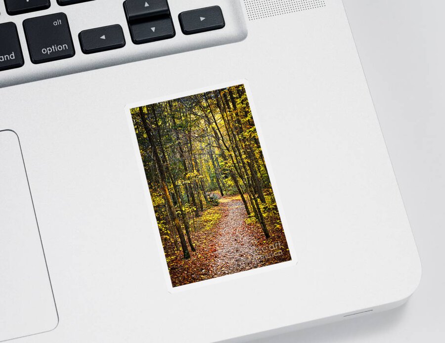 Trees Sticker featuring the photograph Path in fall forest 2 by Elena Elisseeva