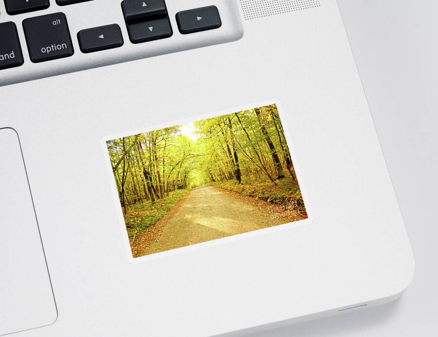 Trail Sticker featuring the photograph Path in the Woods by Becqi Sherman