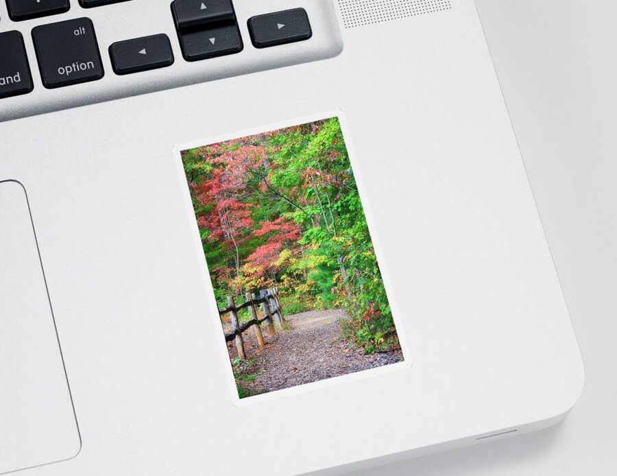 Hiking Trail Sticker featuring the photograph Path in the Woods by Jill Lang