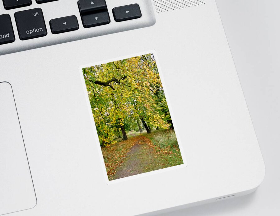 Canopy Sticker featuring the photograph Path under the fall canopy by Elena Perelman