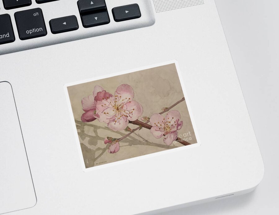 Flowers Sticker featuring the painting Peach Blossoms by Jan Lawnikanis