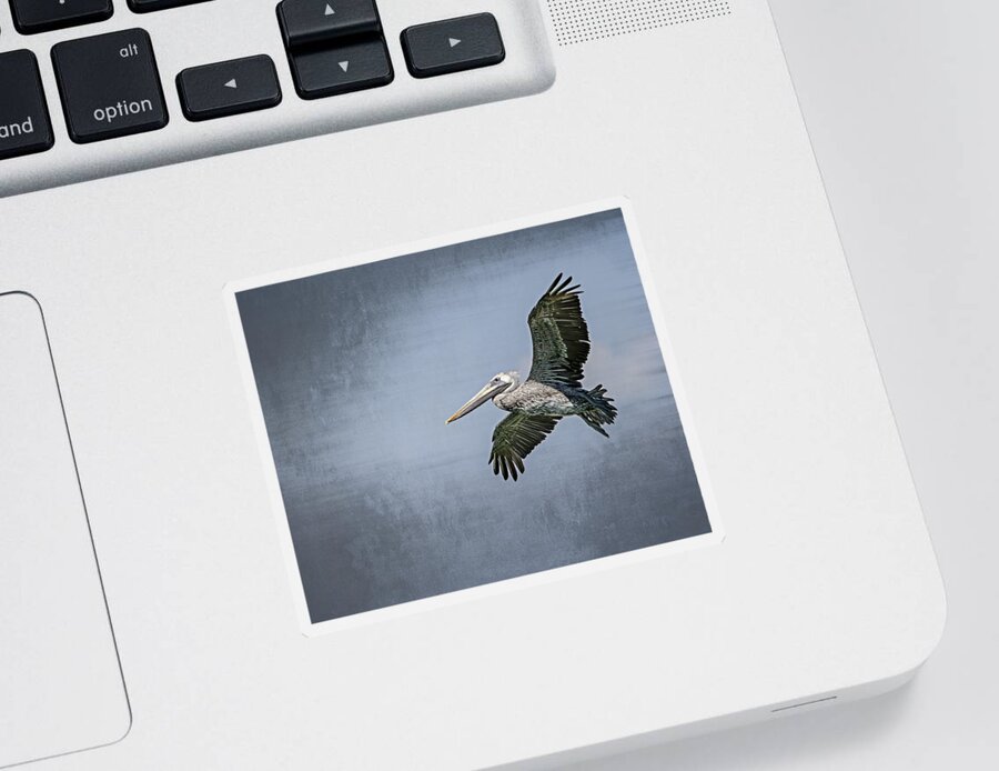 Pelican Sticker featuring the photograph Pelican Flight by Carolyn Marshall