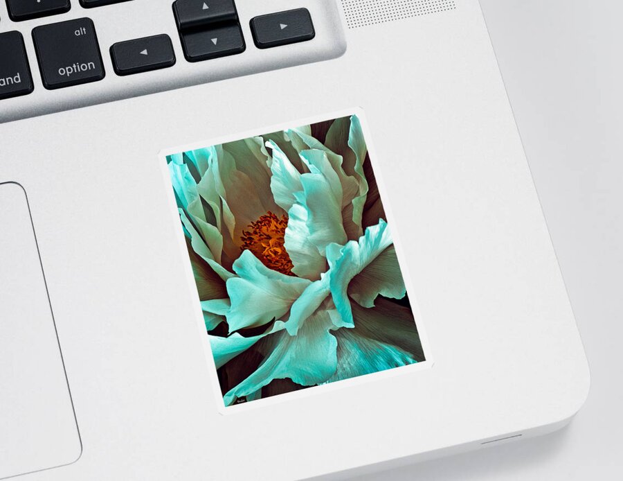 Peony Sticker featuring the photograph Peony Flower by Chris Lord