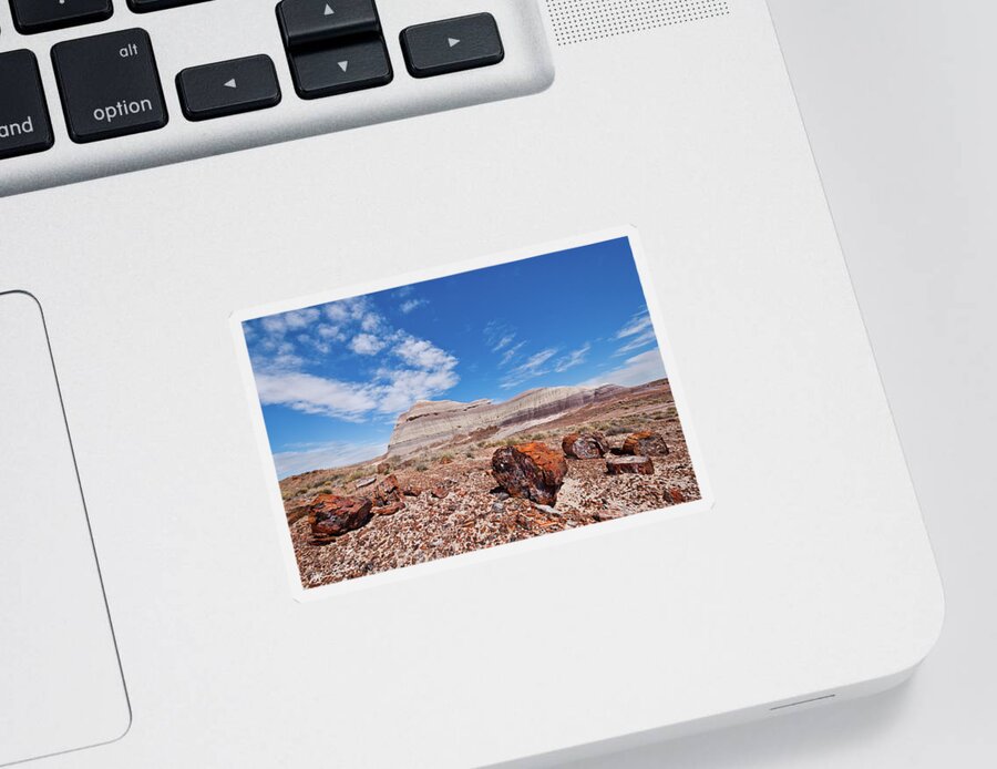 Arid Climate Sticker featuring the photograph Petrified Logs at Crystal Forest by Jeff Goulden