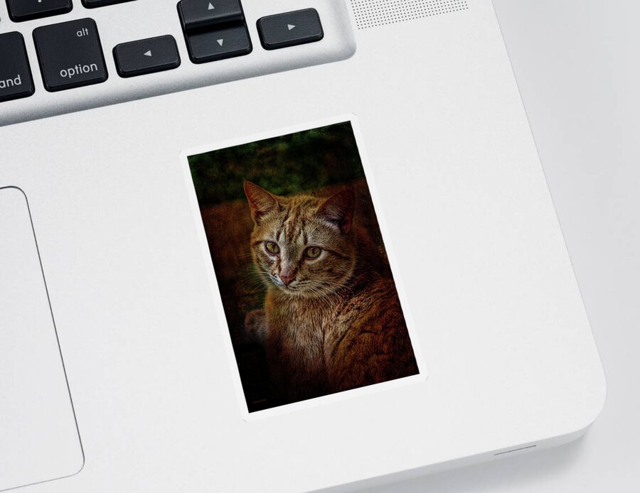 Cat Sticker featuring the mixed media Pets Fat Cat Portrait 2 by Lesa Fine