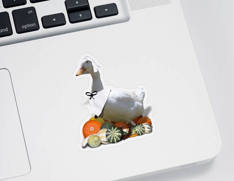 Thanksgiving Sticker featuring the mixed media Pilgrim Duck by Gravityx9 Designs