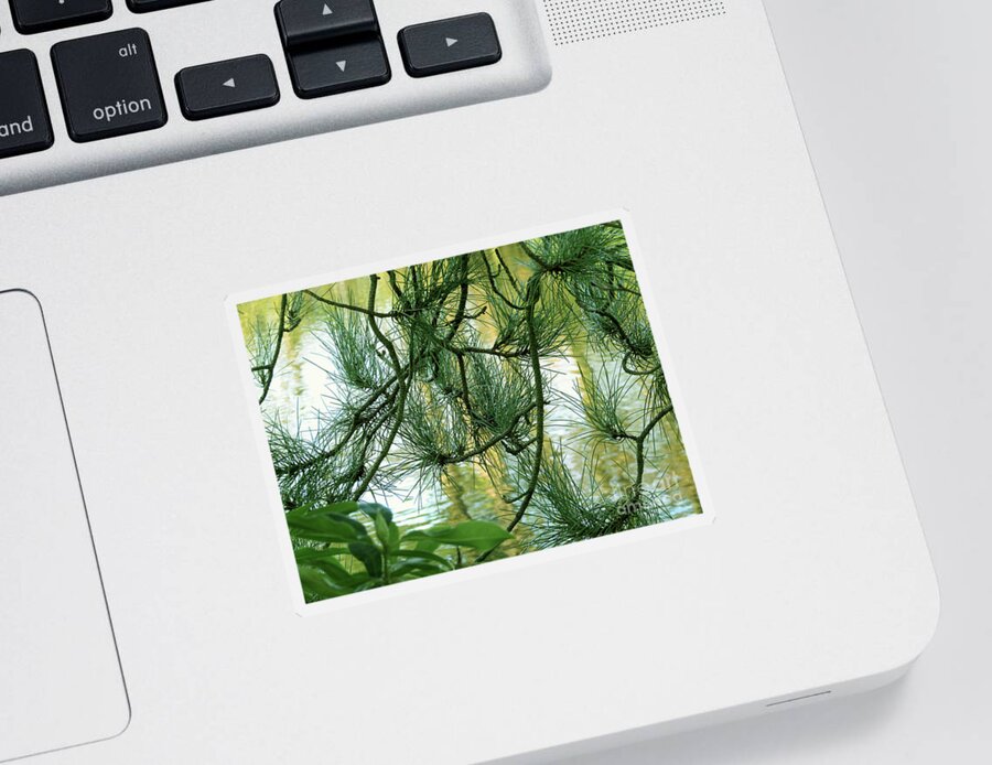 Green Sticker featuring the photograph Pine needles Patchwork by Kim Tran