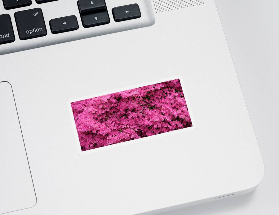 Azaleas Sticker featuring the photograph Pink Azaleas Panorama by Jill Lang
