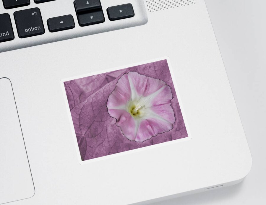 Flower Sticker featuring the photograph Pink Flower by David Yocum