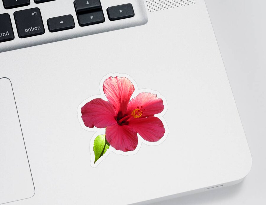 Hibiscus Sticker featuring the photograph Pink Hibiscus by Marlin and Laura Hum