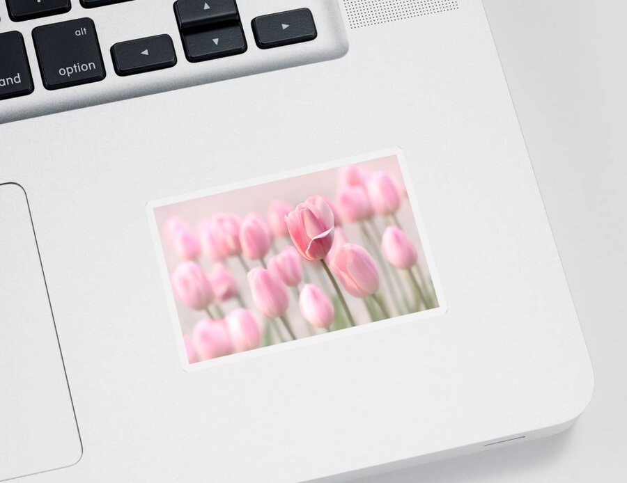 Tulip Sticker featuring the photograph Pink Tulip Cloud by Mary Jo Allen