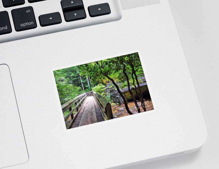 Pisgah National Forest Sticker featuring the photograph Pisgah National Forest by Savannah Gibbs