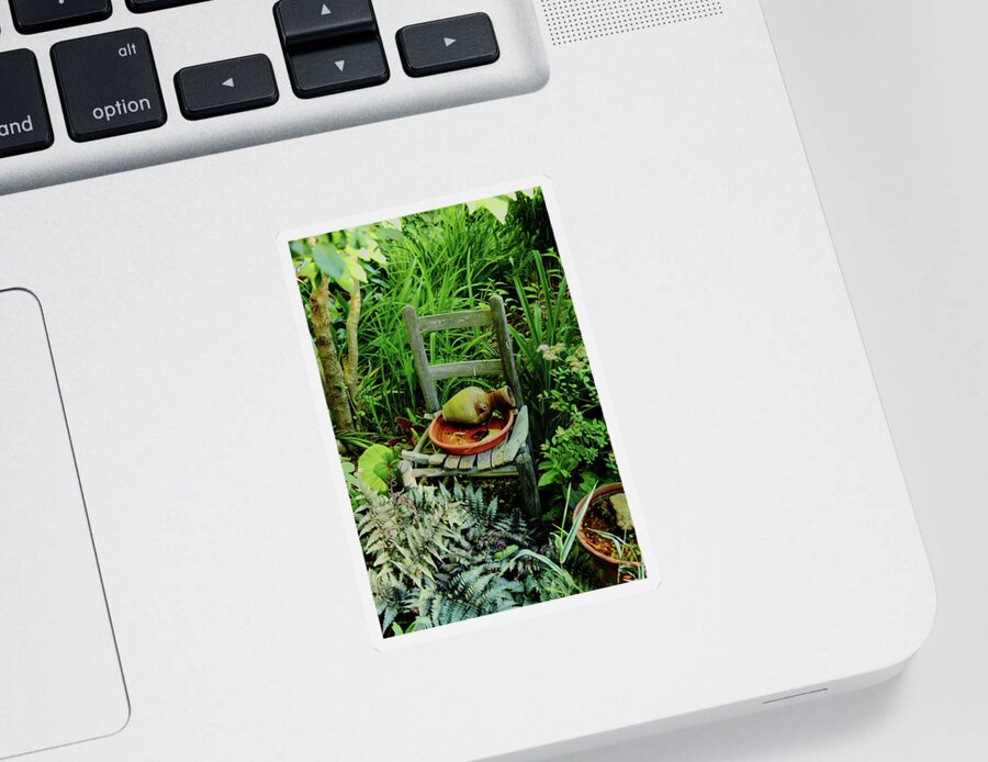 Plants Sticker featuring the photograph Plants and Simple Things by Allen Nice-Webb