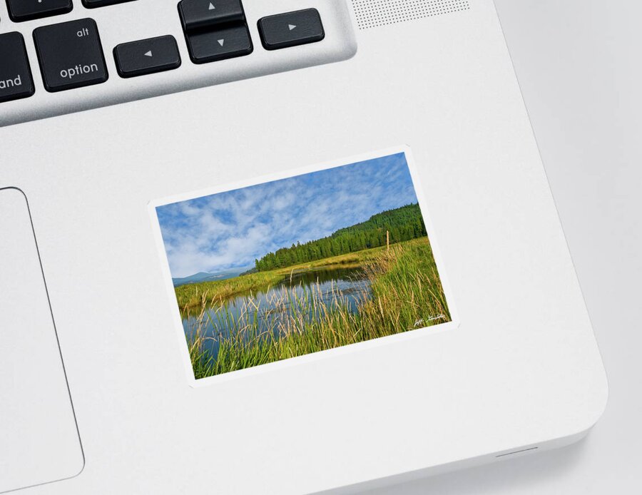 Beauty In Nature Sticker featuring the photograph Plummer Creek Marsh by Jeff Goulden
