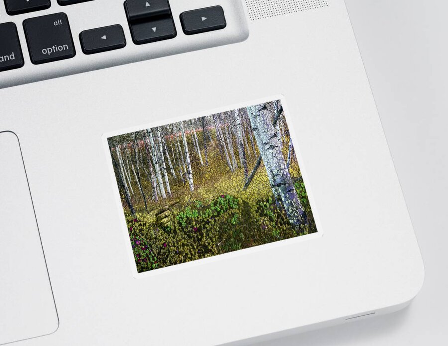 Landscape Sticker featuring the photograph Pointless Forest by Ed Hall