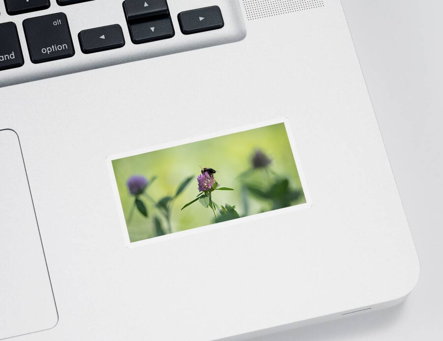Pollination Sticker featuring the photograph Pollination  by Holden The Moment