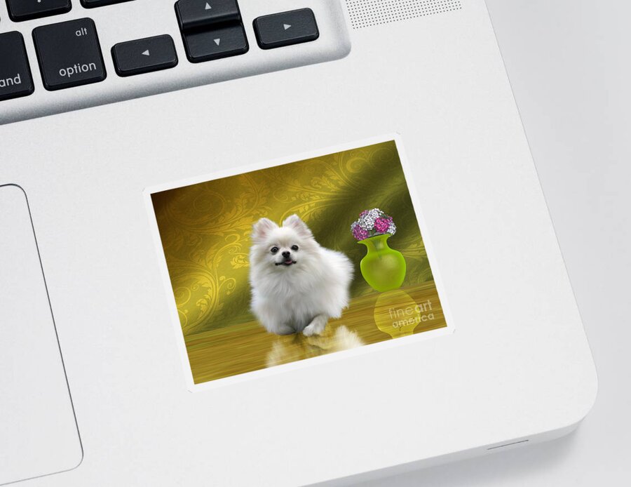 Pomeranian Sticker featuring the painting Pomeranian Dog by Corey Ford