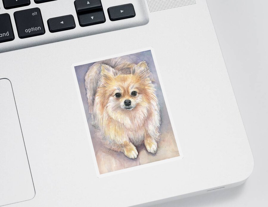 Pomeranian Sticker featuring the painting Pomeranian Watercolor by Olga Shvartsur