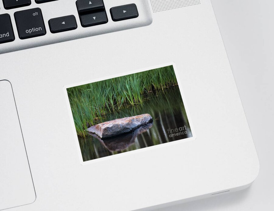 Pond Sticker featuring the photograph Pond by Anthony Michael Bonafede