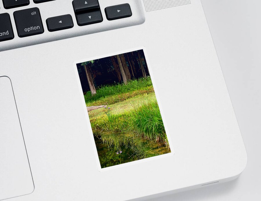 Water Reflections Sticker featuring the photograph Pond Landscape Print by Gwen Gibson