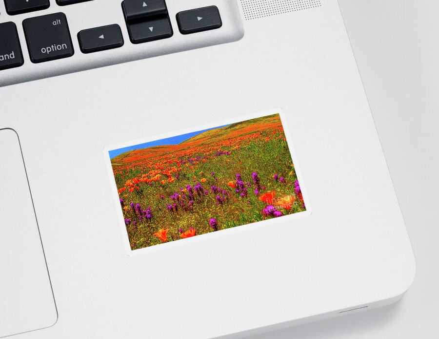 Wild Flowers Sticker featuring the photograph Poppies by Mark Jackson